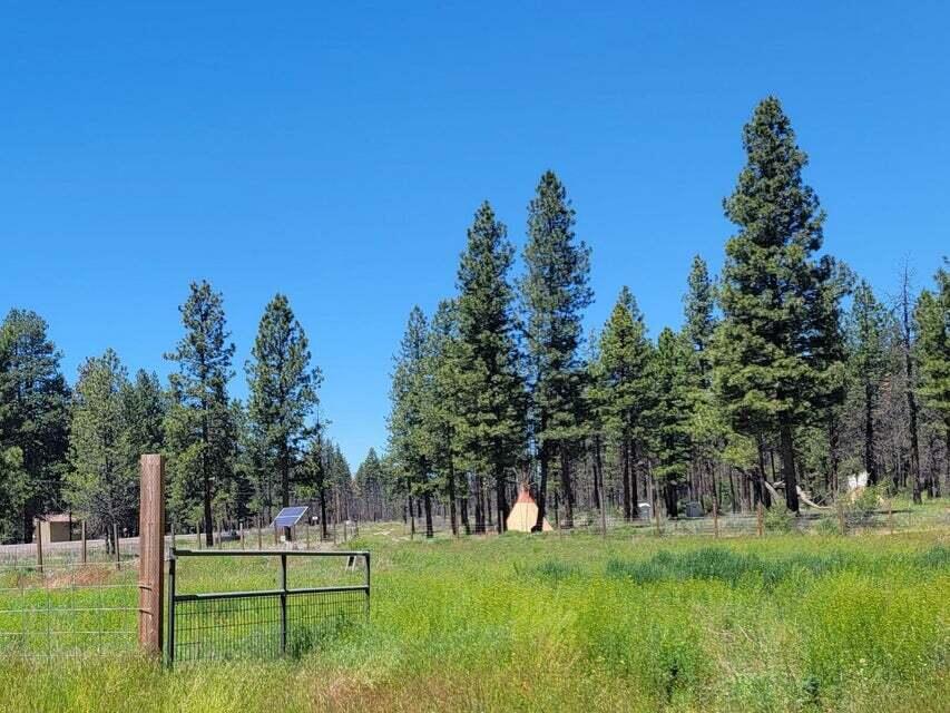 0 Oregon 62 Chiloquin, OR 97624 - Photo 29 of 42 4707
