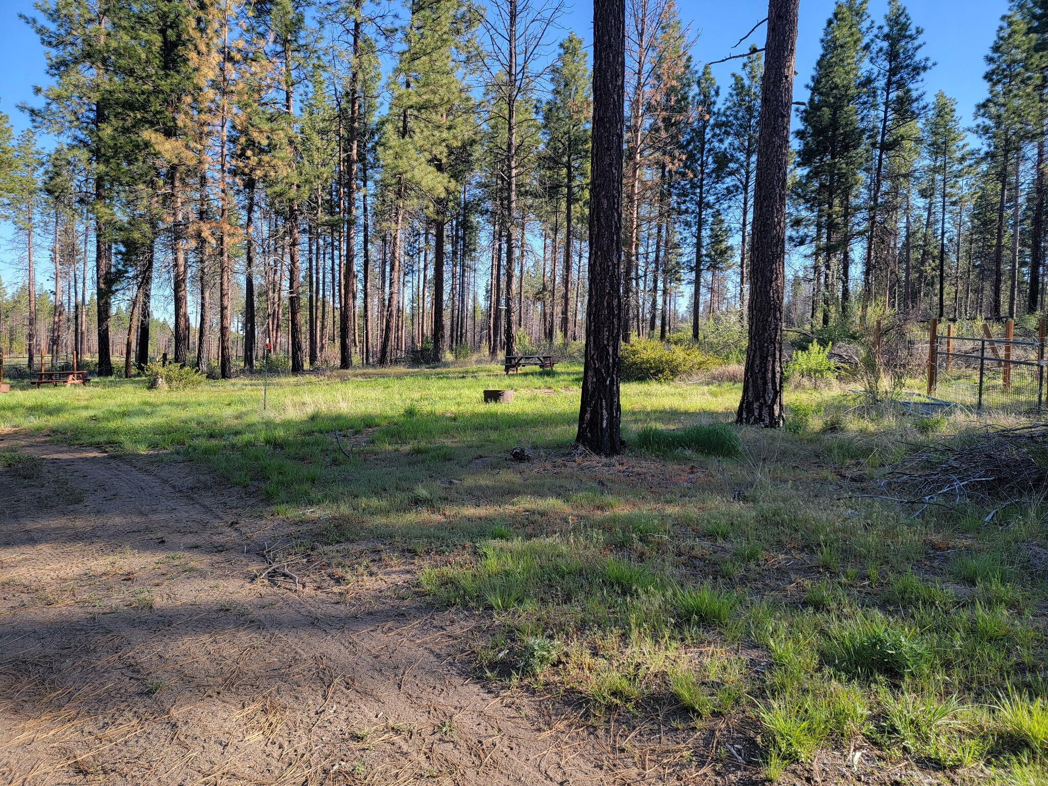 0 Oregon 62 Chiloquin, OR 97624 - Photo 34 of 42 1000010922