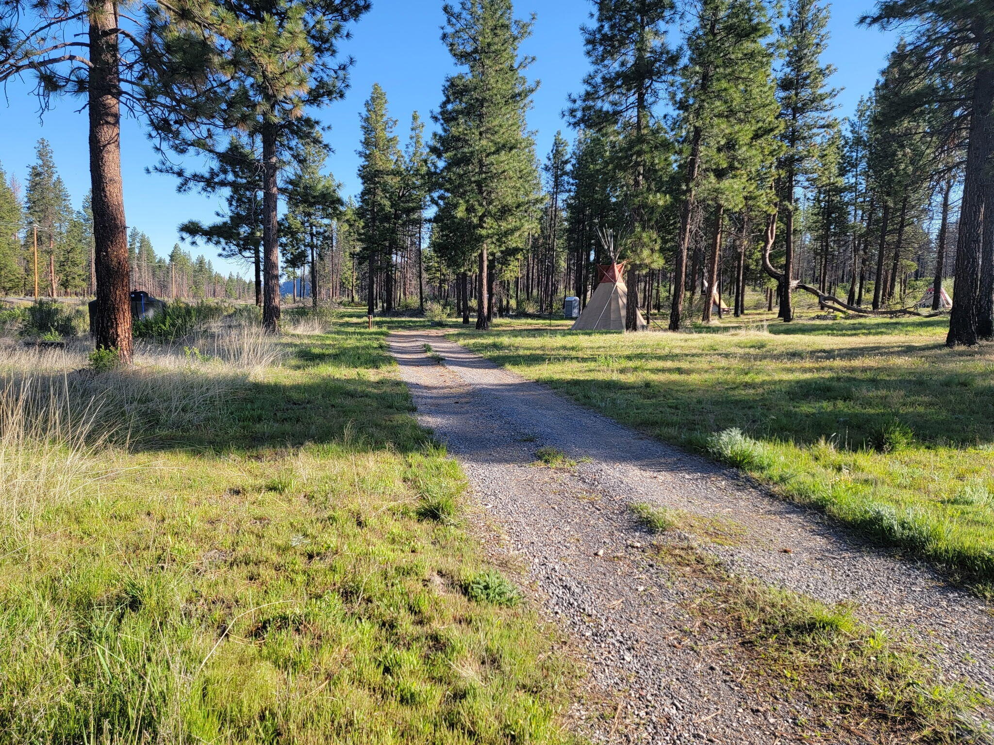 0 Oregon 62 Chiloquin, OR 97624 - Photo 35 of 42 5186638042618293338