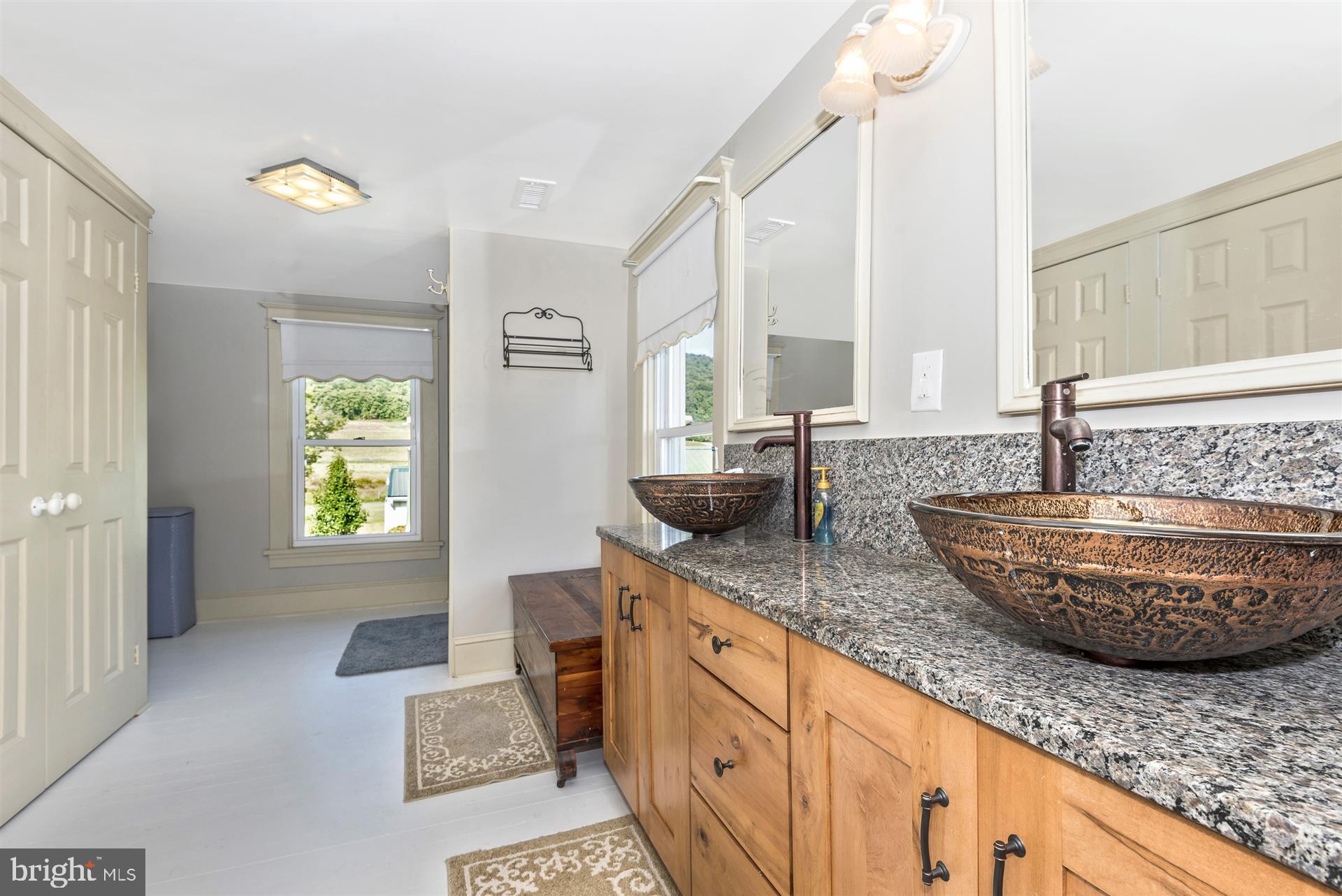 9542 Bethel Road Frederick, MD 21702 - Photo 15 of 30 Bath (Master)