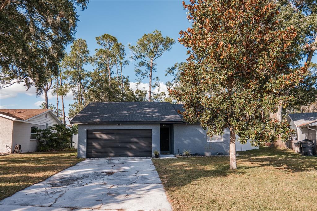 6325 Doe Circle East Lakeland, FL 33809 - Photo 1 of 1 Gallery Image 1
