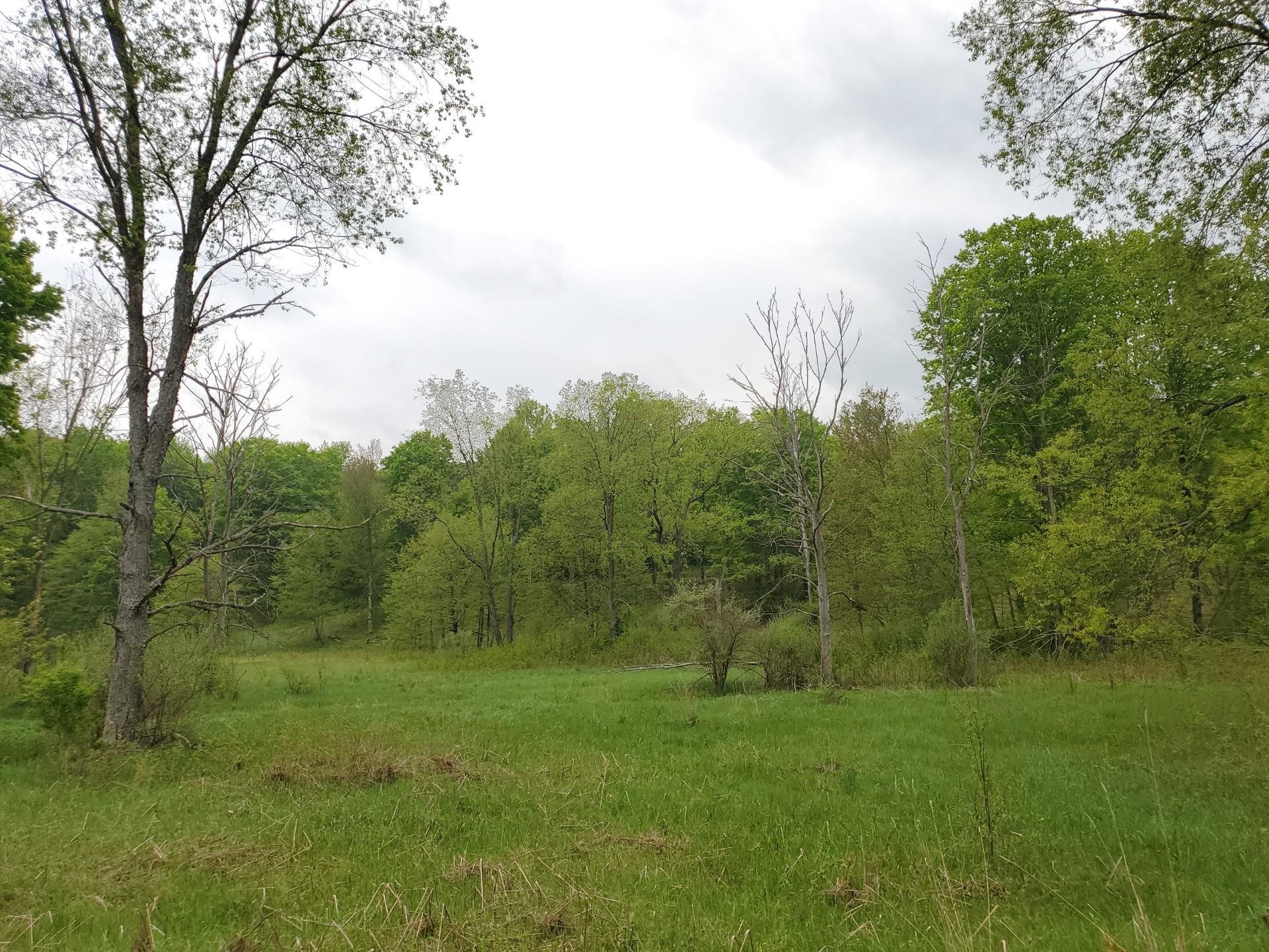 0 Litzen Road Copemish, MI 49625 - Photo 9 of 25 1911453-9.JPG