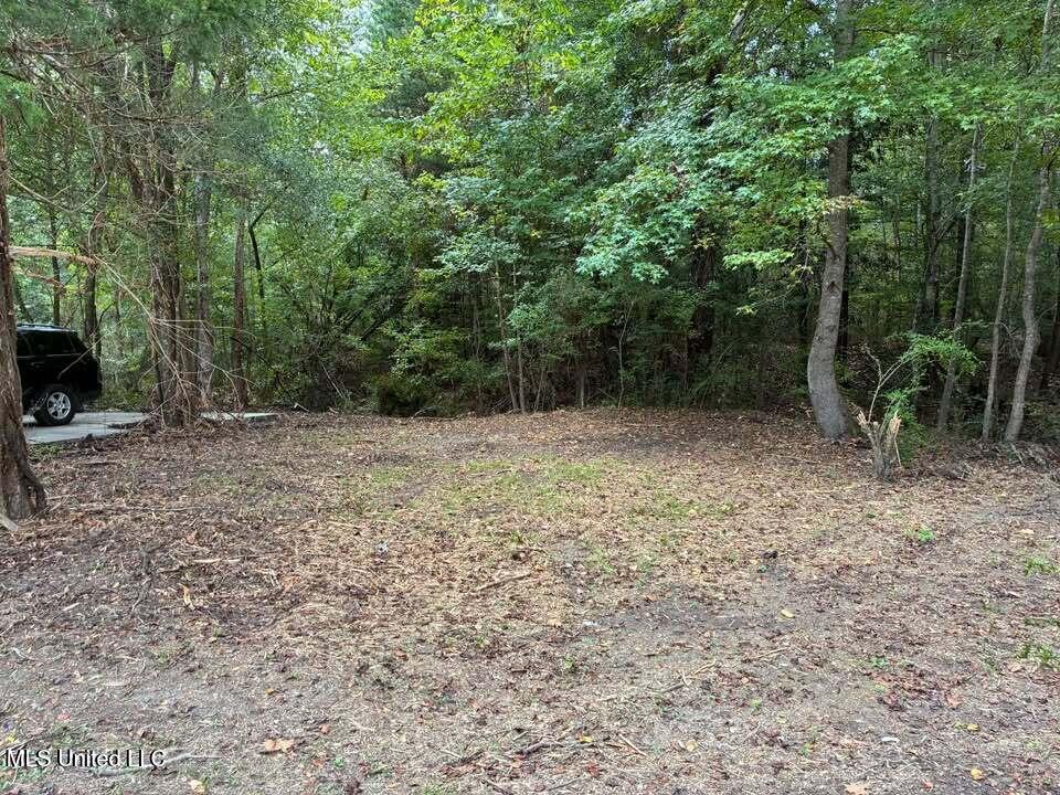 1135 Joe Dear Road Harrisville, MS 39082 - Photo 14 of 17 Joe Dear 5