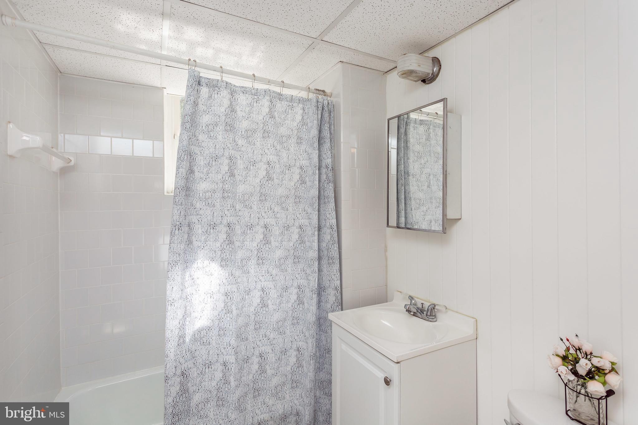 509 Woodlawn Road Baltimore, MD 21210 - Photo 72 of 76 Basement Full Bath