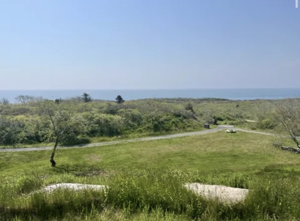 a view of a field with an trees