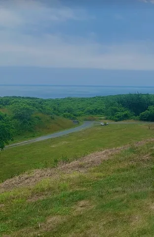a view of a field with a big yard