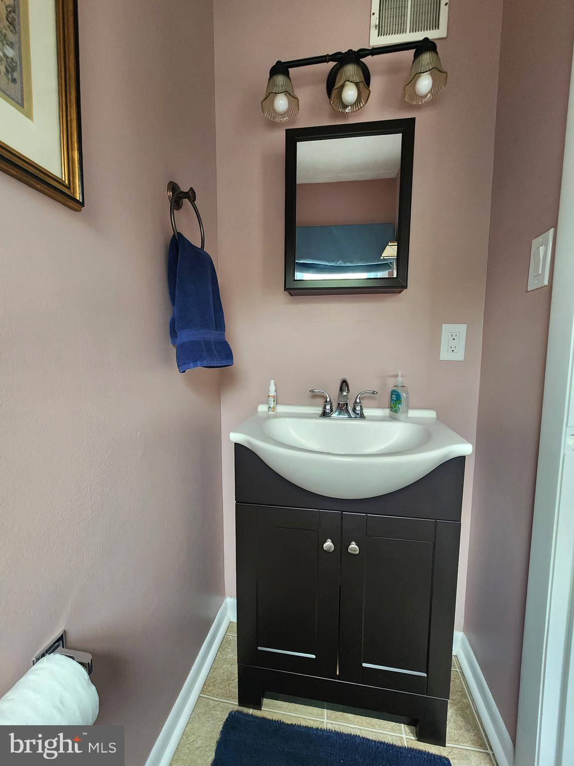 243 Brunswick Road Stephens City, VA 22655 - Photo 9 of 24 Main level half bath totally refurnished
