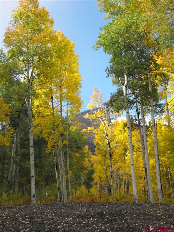Lot 30 Long Story Road Durango, CO 81301 - Photo 11 of 24 Gallery Image 11
