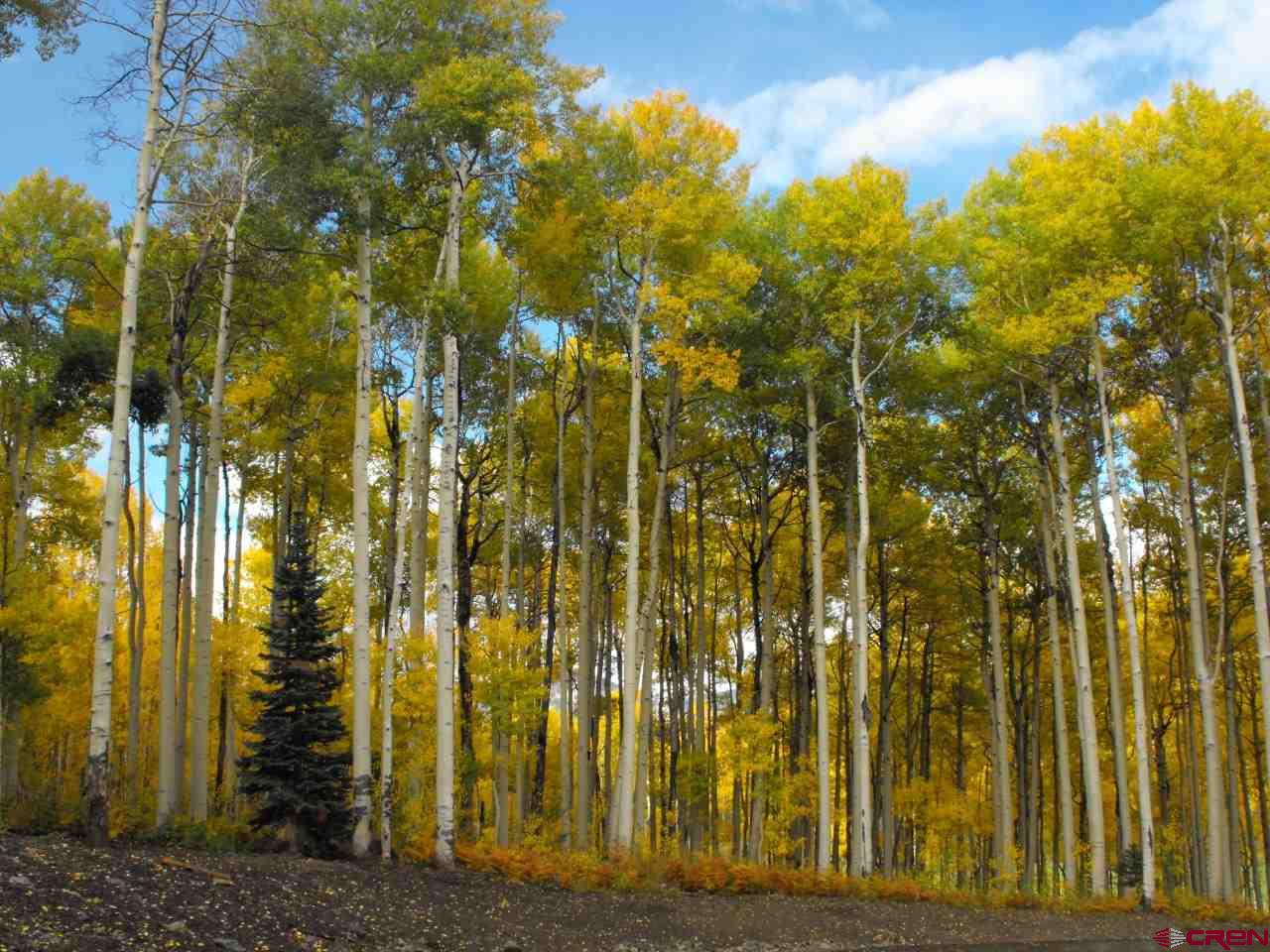 Lot 30 Long Story Road Durango, CO 81301 - Photo 12 of 24 Gallery Image 12