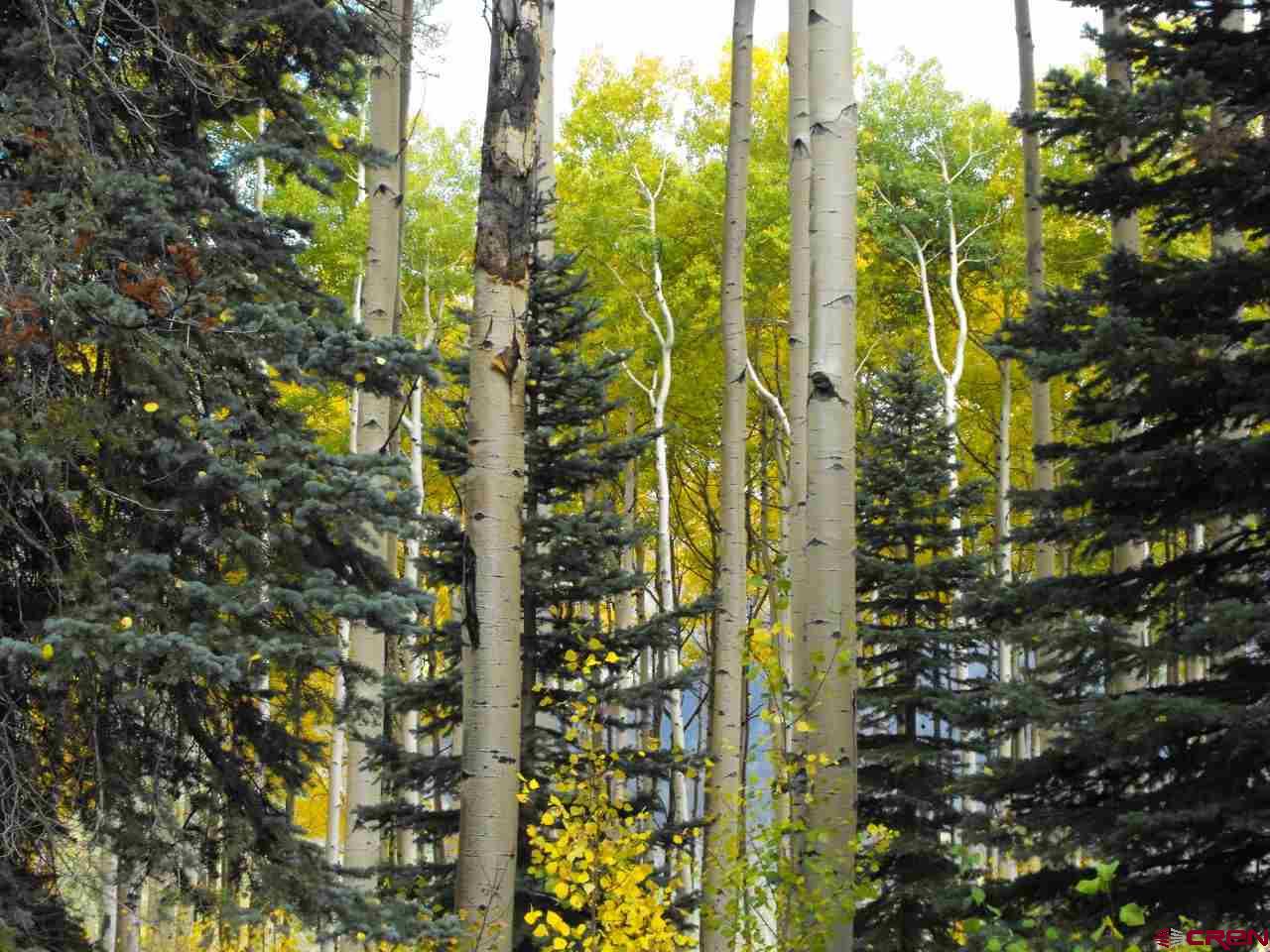 Lot 30 Long Story Road Durango, CO 81301 - Photo 13 of 24 Gallery Image 13