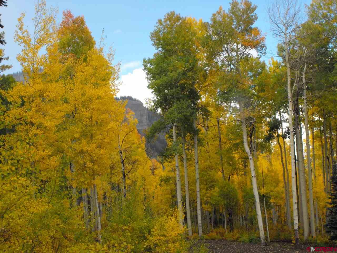 Lot 30 Long Story Road Durango, CO 81301 - Photo 14 of 24 Gallery Image 14