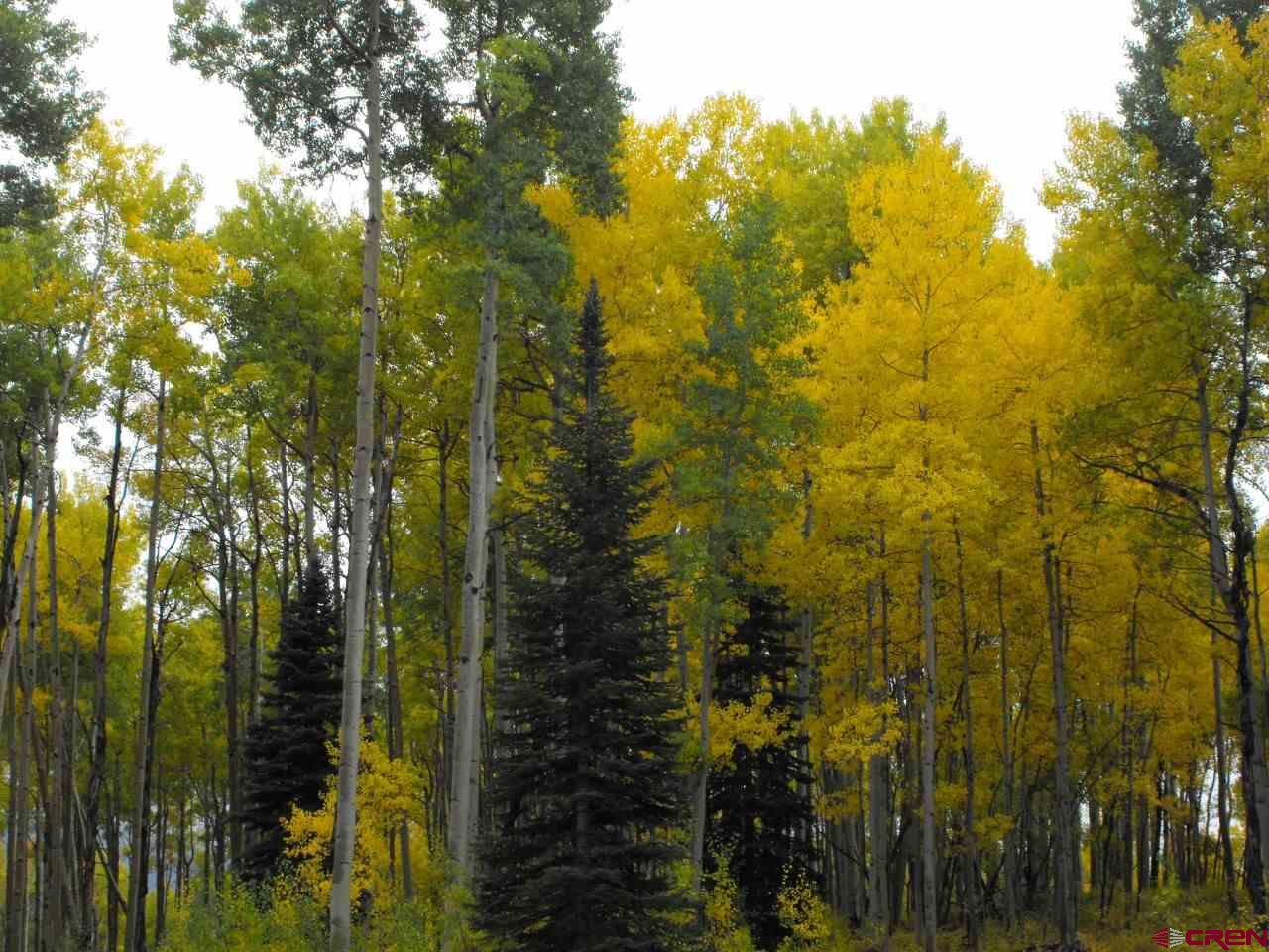 Lot 30 Long Story Road Durango, CO 81301 - Photo 15 of 24 Gallery Image 15