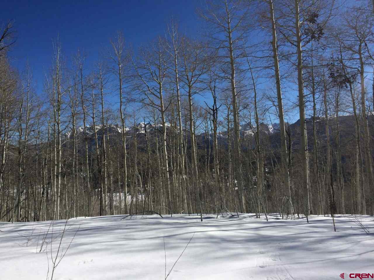 Lot 30 Long Story Road Durango, CO 81301 - Photo 17 of 24 Gallery Image 17
