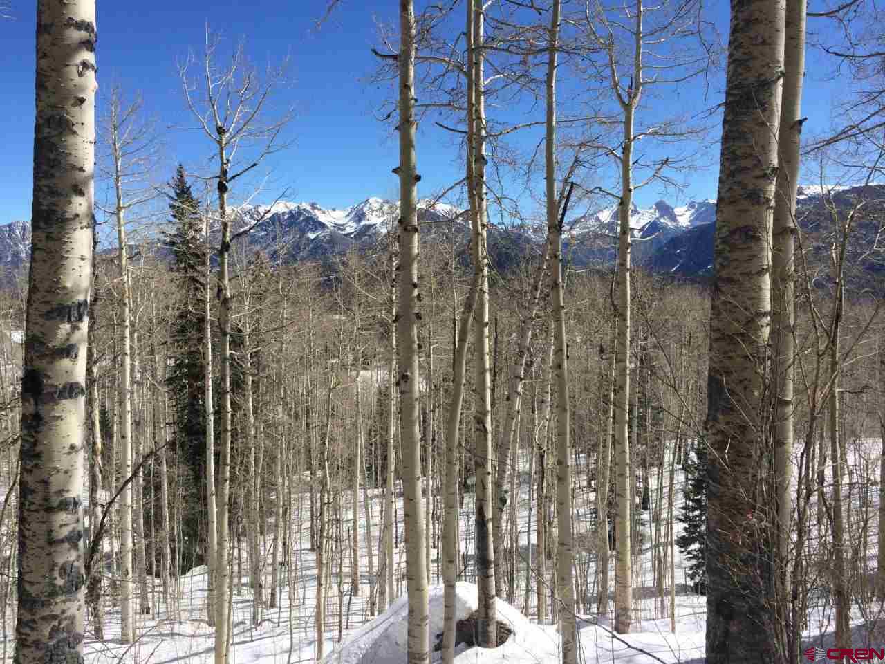 Lot 30 Long Story Road Durango, CO 81301 - Photo 18 of 24 Gallery Image 18