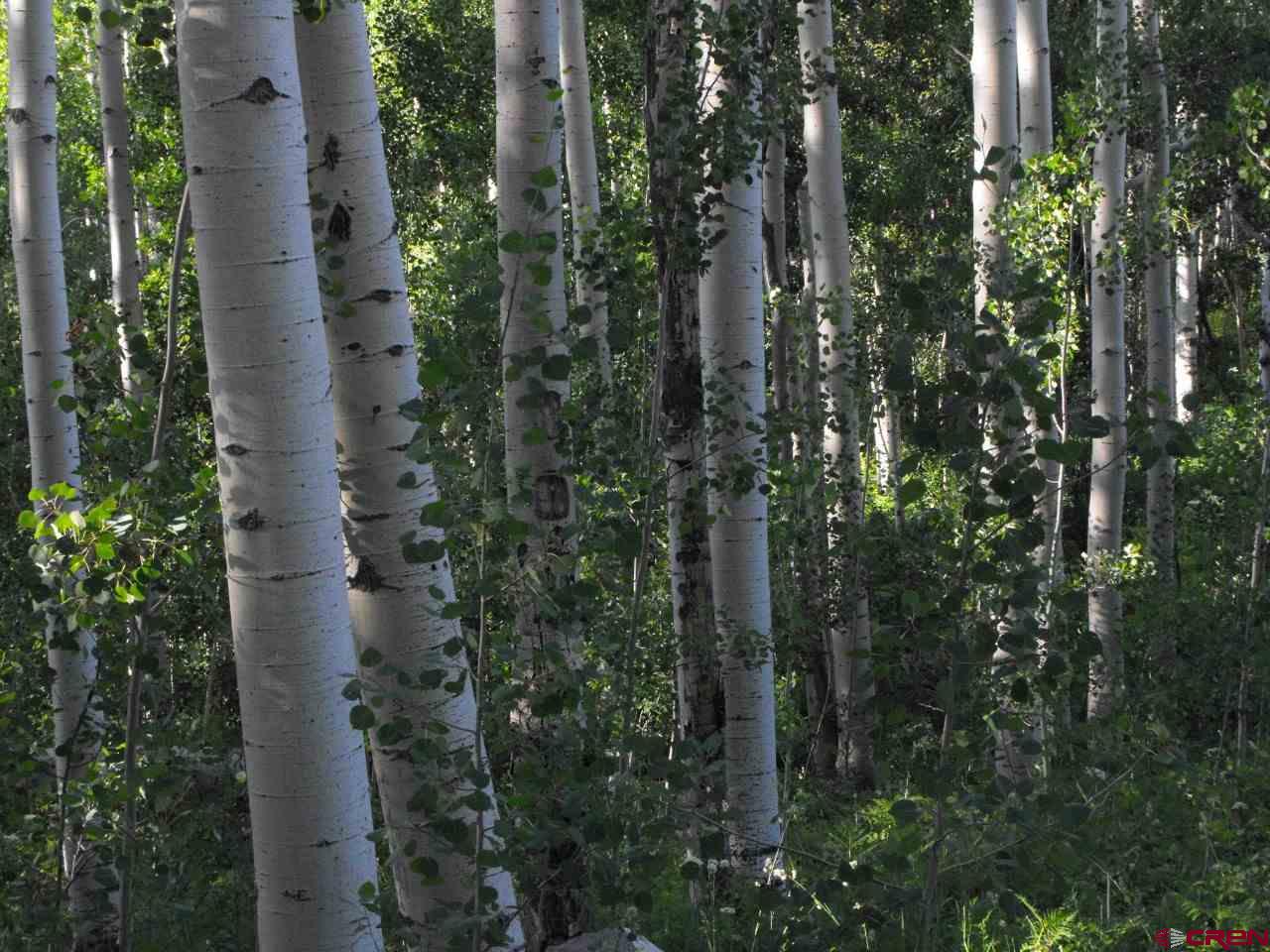 Lot 30 Long Story Road Durango, CO 81301 - Photo 4 of 24 Gallery Image 4