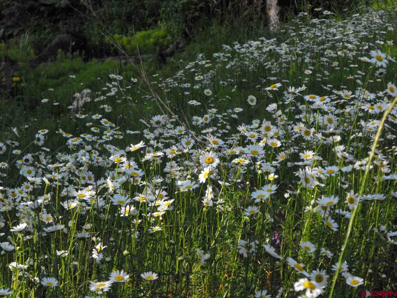 Lot 30 Long Story Road Durango, CO 81301 - Photo 5 of 24 Gallery Image 5