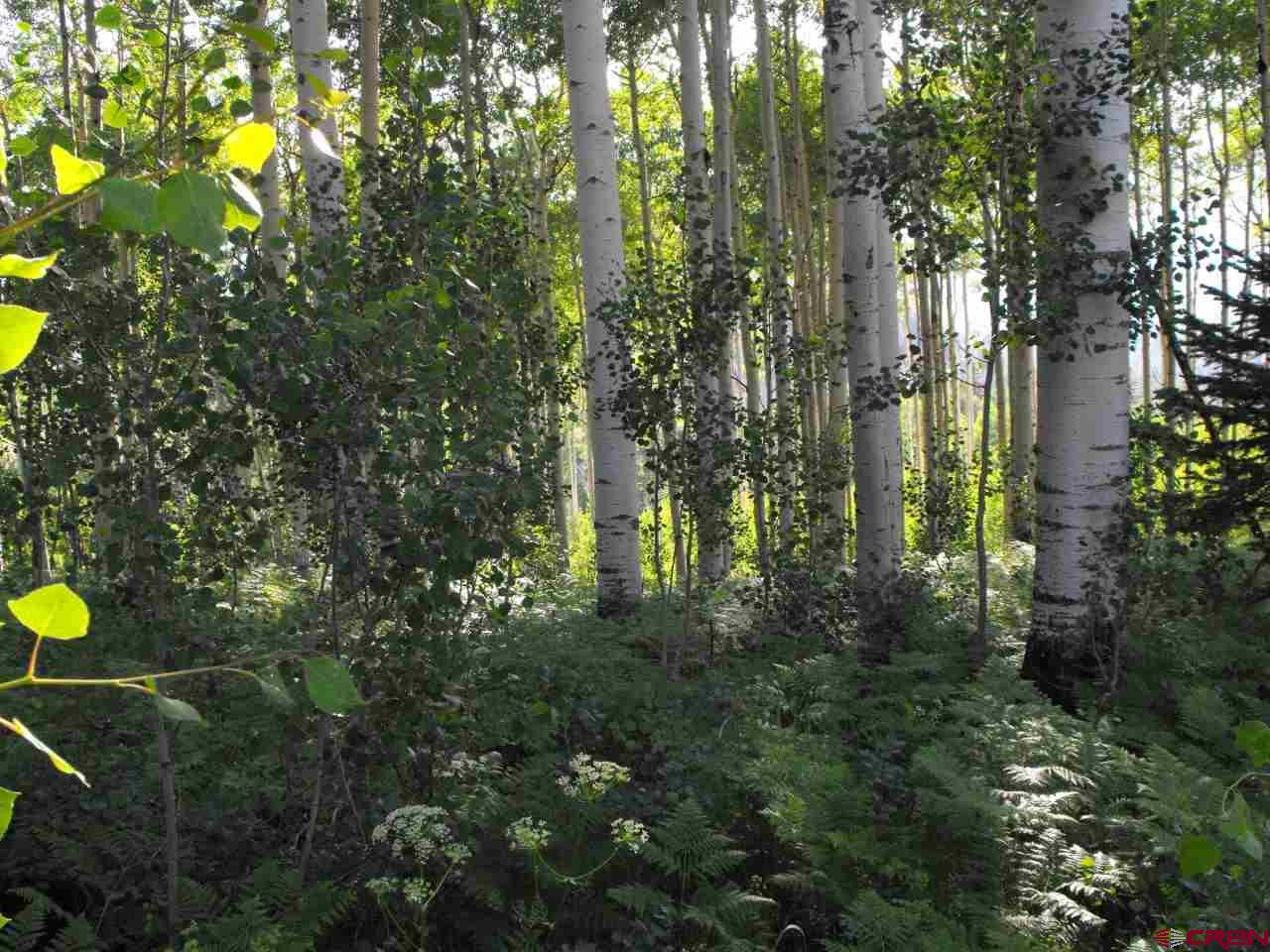Lot 30 Long Story Road Durango, CO 81301 - Photo 6 of 24 Gallery Image 6