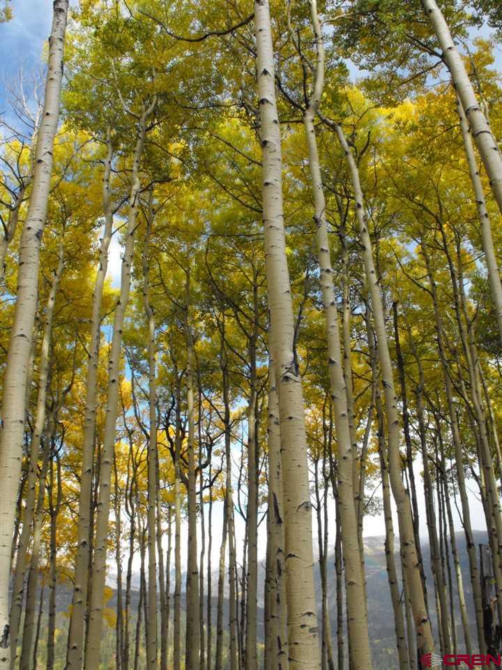 Lot 30 Long Story Road Durango, CO 81301 - Photo 10 of 24 Gallery Image 10