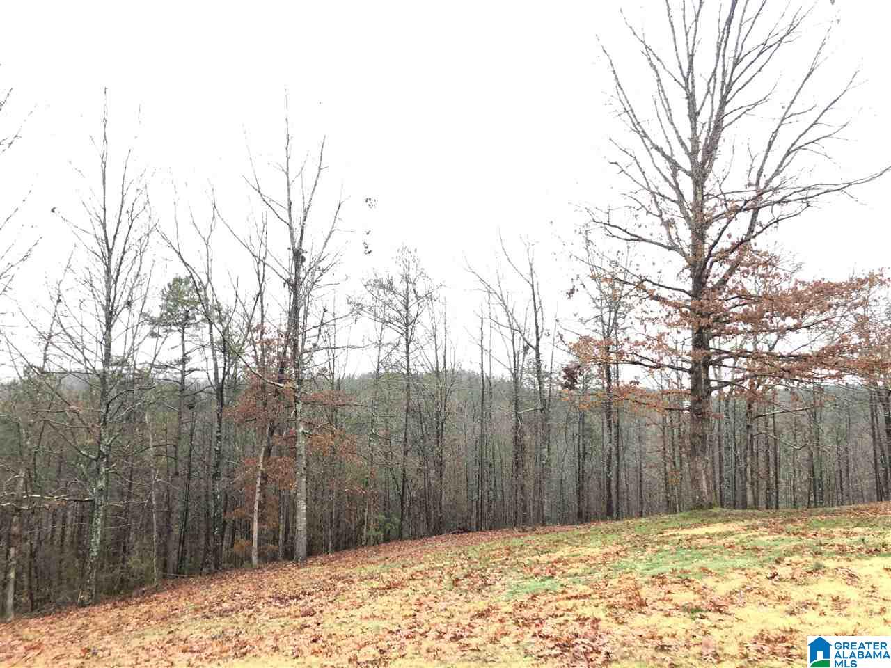 30899 Highway 431 Heflin, AL 36264 - Photo 33 of 42