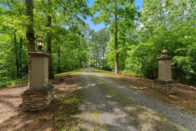 a view of a yard with plants and large trees