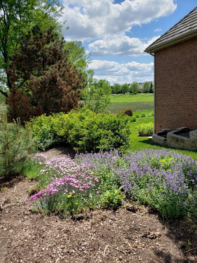 925 Clarion Court Inverness, IL 60010 - Photo 56 of 72