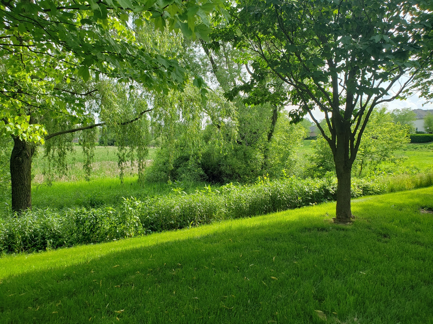 925 Clarion Court Inverness, IL 60010 - Photo 58 of 72