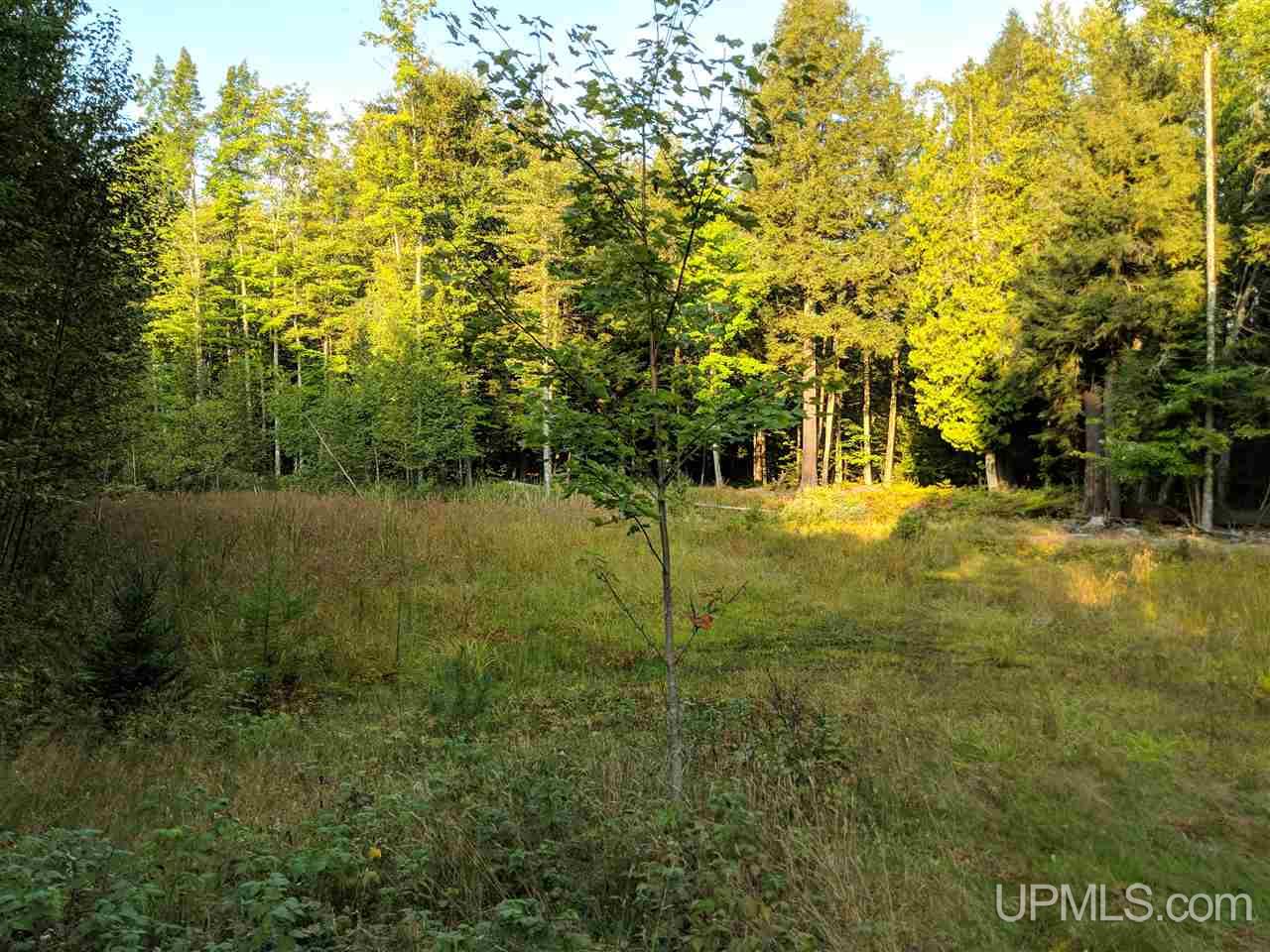 12508 Peterson Road Skanee, MI 49962 - Photo 3 of 9 Gallery Image 3