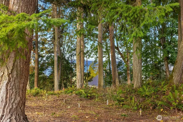 a view of outdoor space with trees