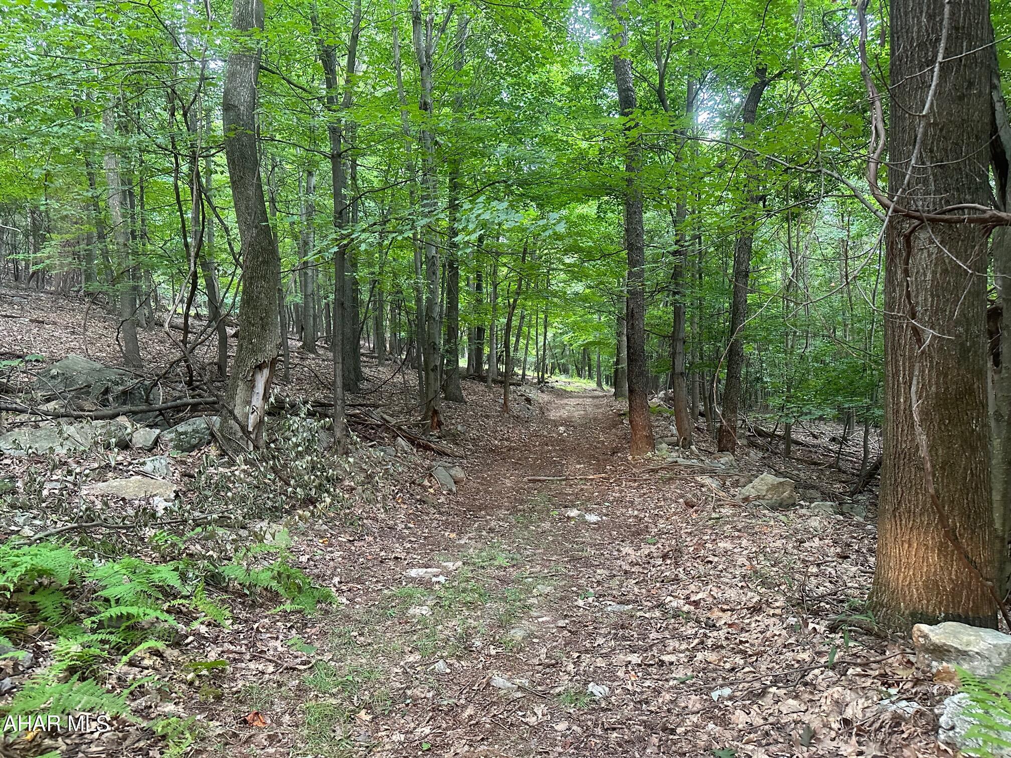Lot #1 Louks Road Bedford, PA 15522 - Photo 9 of 11