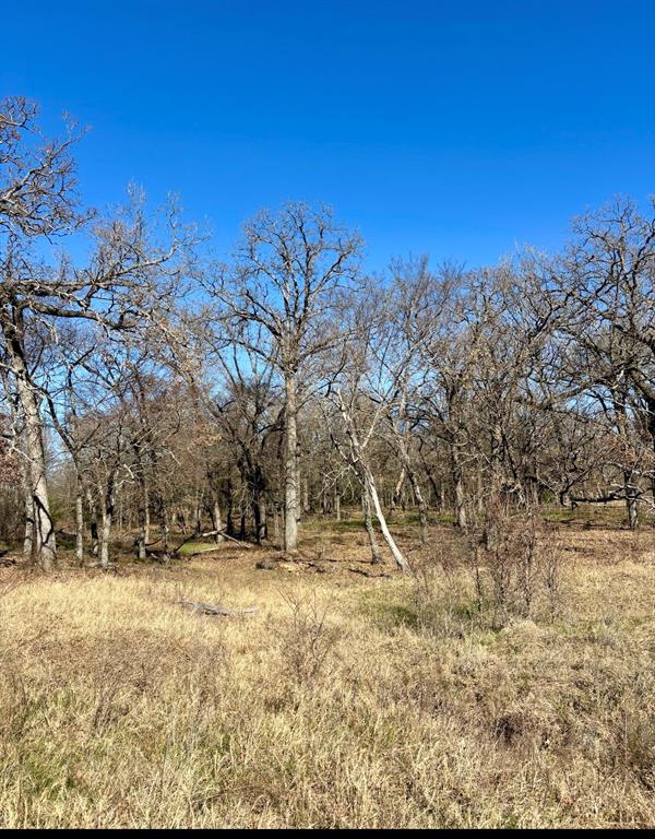 1200 County Road 1200 Athens, TX 75751 - Photo 4 of 7