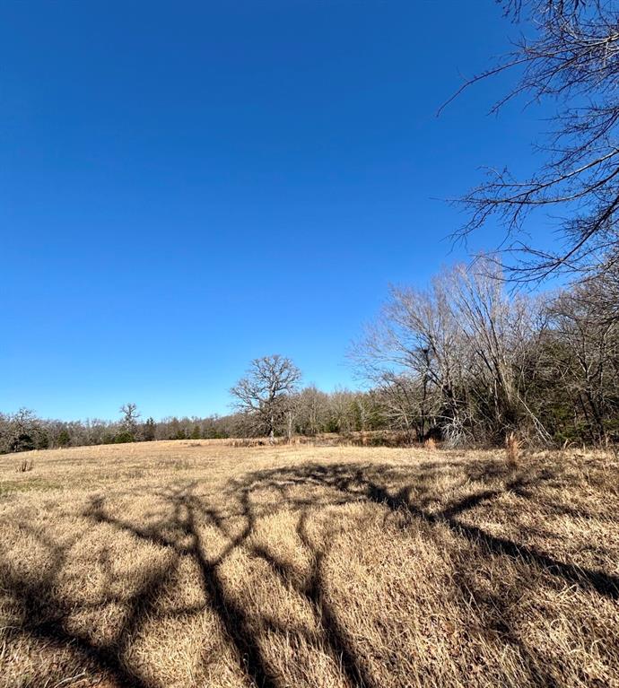 1200 County Road 1200 Athens, TX 75751 - Photo 6 of 7