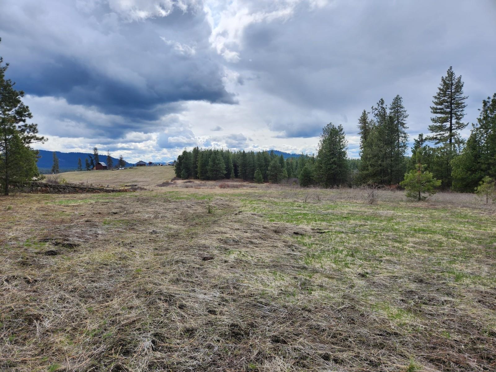 29-xx Bakie Road Valley, WA 99181 - Photo 1 of 23