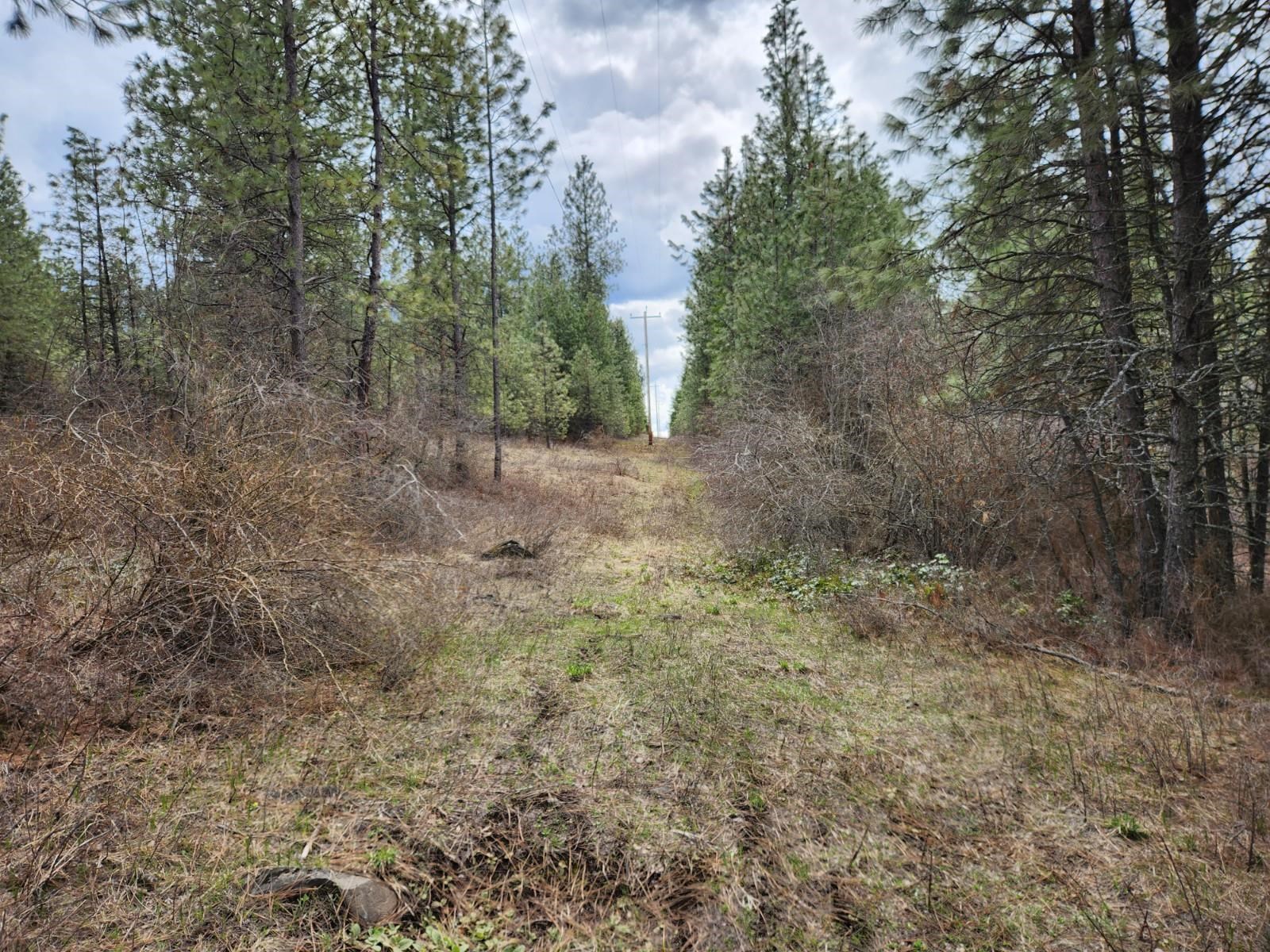 29-xx Bakie Road Valley, WA 99181 - Photo 17 of 23