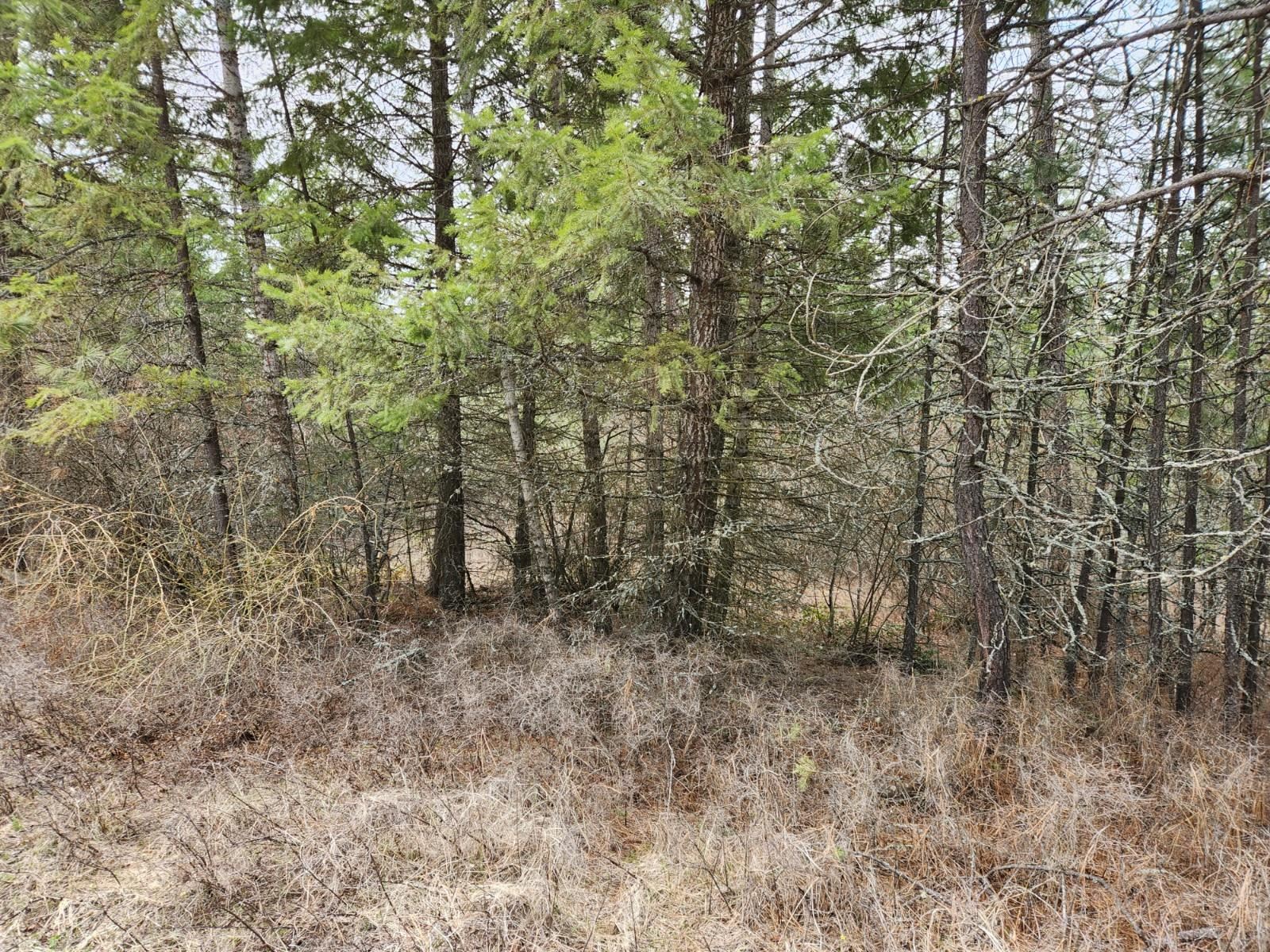 29-xx Bakie Road Valley, WA 99181 - Photo 18 of 23