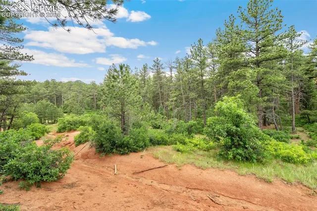 $45,000 | 4580 Delaware Drive, Larkspur, CO 80118