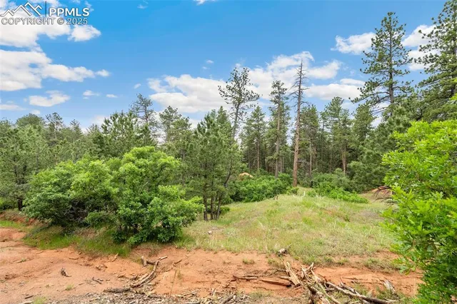 $45,000 | 4580 Delaware Drive, Larkspur, CO 80118