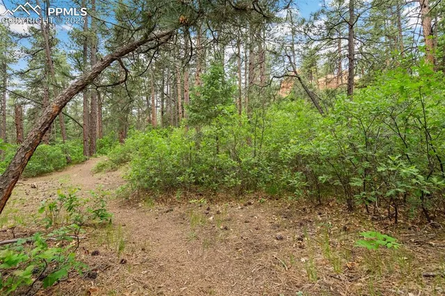 $45,000 | 4580 Delaware Drive, Larkspur, CO 80118