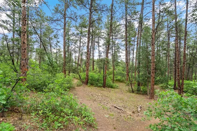 $45,000 | 4580 Delaware Drive, Larkspur, CO 80118