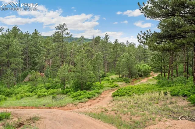 $45,000 | 4580 Delaware Drive, Larkspur, CO 80118