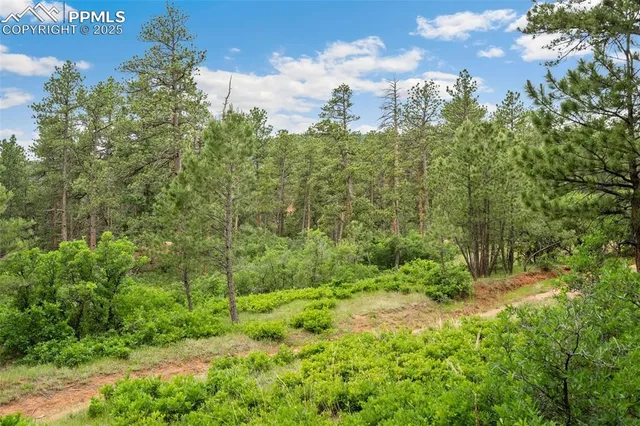 $45,000 | 4580 Delaware Drive, Larkspur, CO 80118