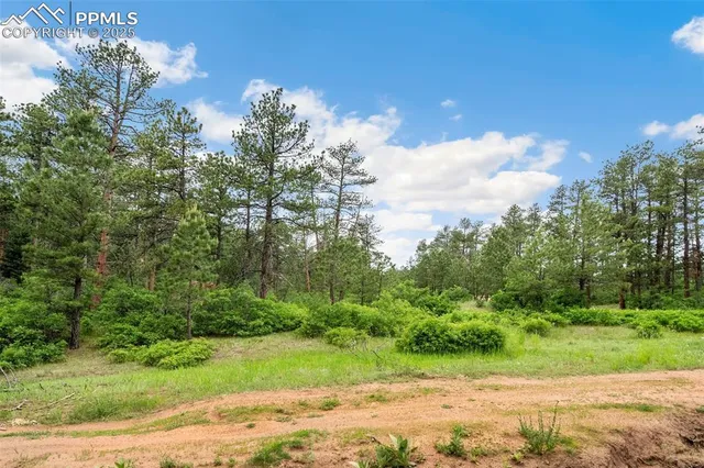 $45,000 | 4580 Delaware Drive, Larkspur, CO 80118