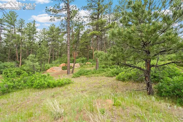 $45,000 | 4580 Delaware Drive, Larkspur, CO 80118