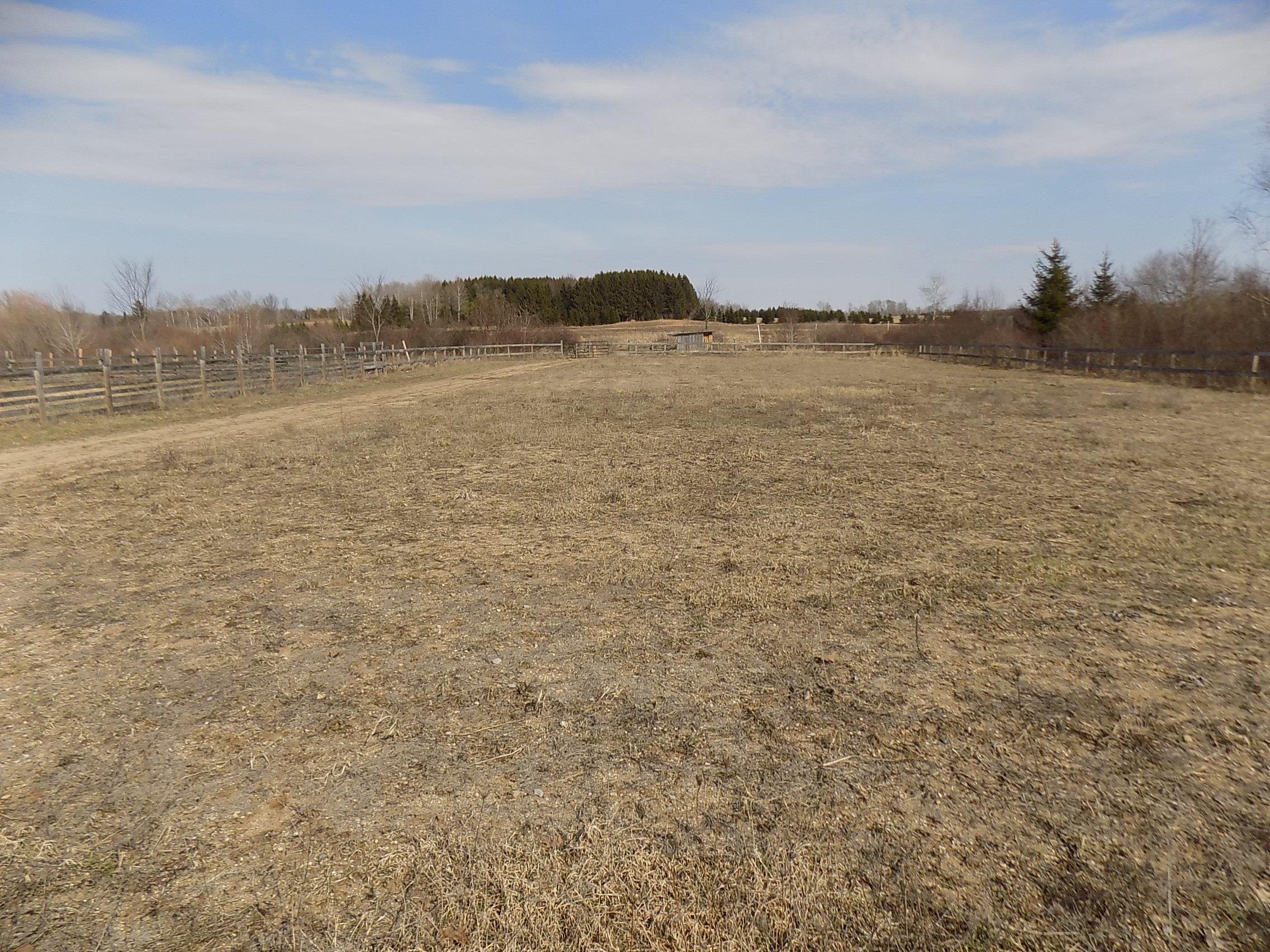 4865 Schmidt Road Gladwin, MI 48624 - Photo 35 of 38