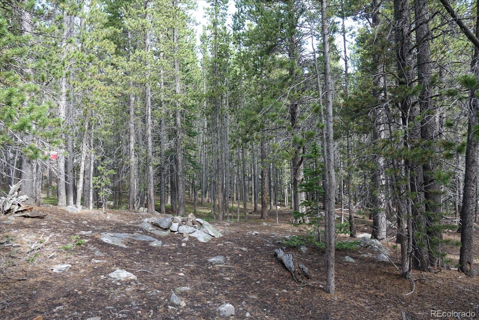 0 Upper Forest Road Idaho Springs, CO 80452 - Photo 12 of 23 Gallery Image 12
