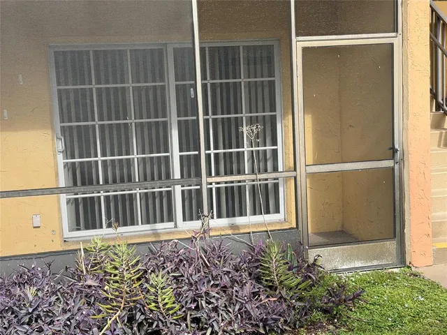 a view of backyard from window