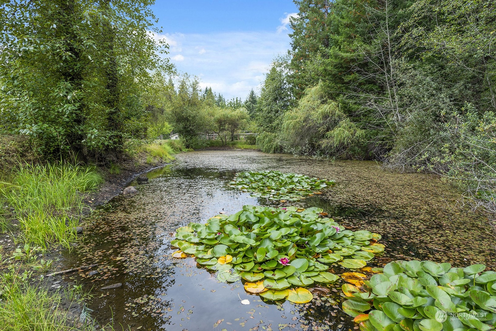 11801 Southwest Bank Road Vashon, WA 98070 - Photo 21 of 40