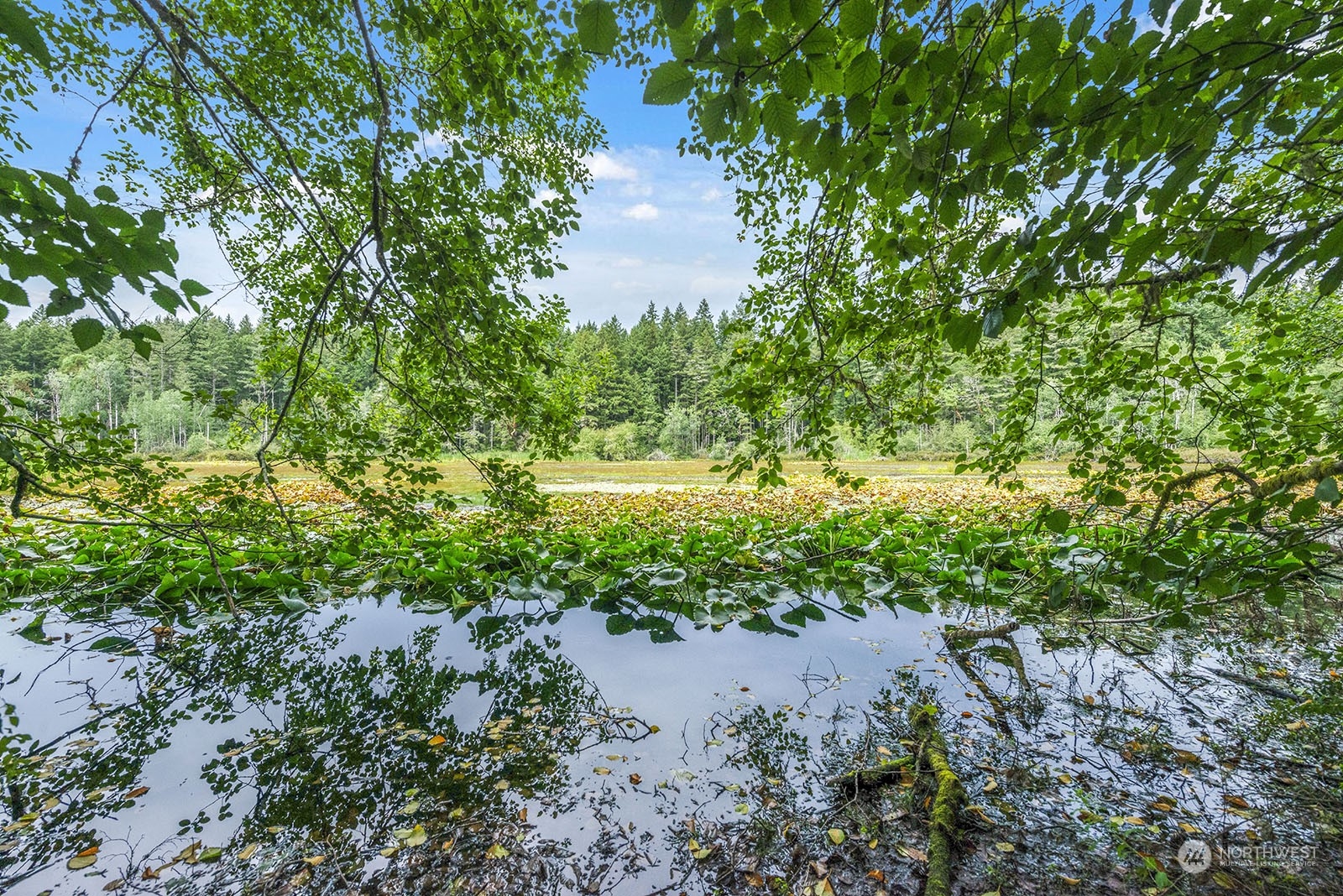 11801 Southwest Bank Road Vashon, WA 98070 - Photo 22 of 40