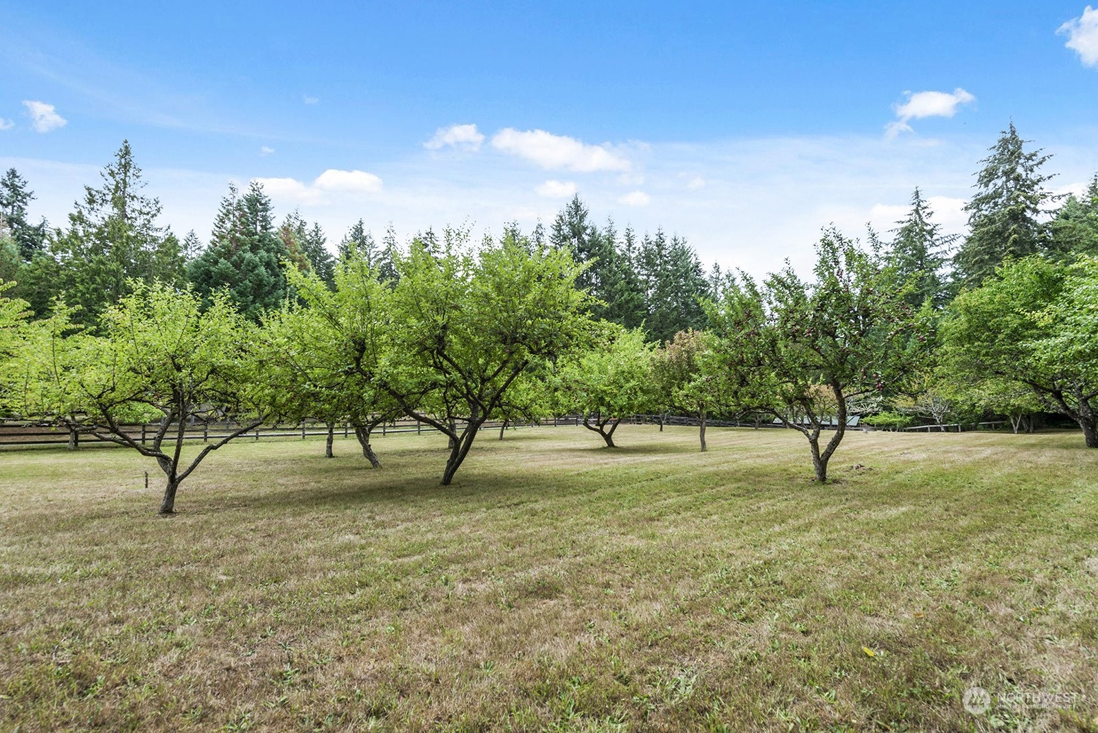 11801 Southwest Bank Road Vashon, WA 98070 - Photo 5 of 40