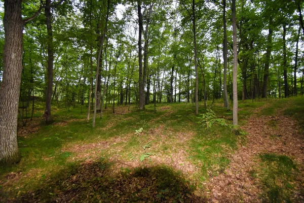 $49,500 | Tbd Osceola Circle, Breezy Point, MN 56472