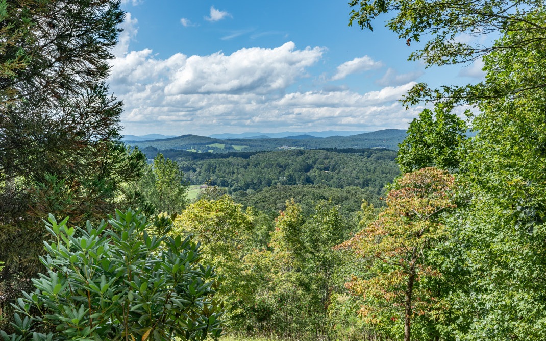 Additional View